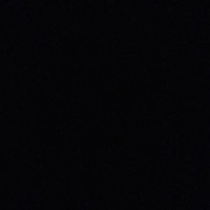 Meet your Posher, Leon